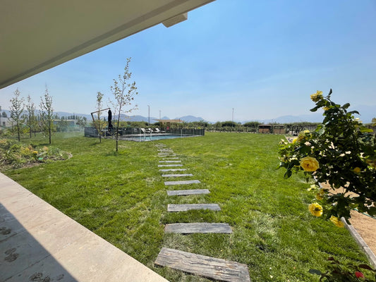 Pasto Alfombra Natural Verde Intenso – Precio por m²