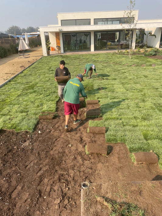 INSTALACIÓN DE CESPED PREMIUM