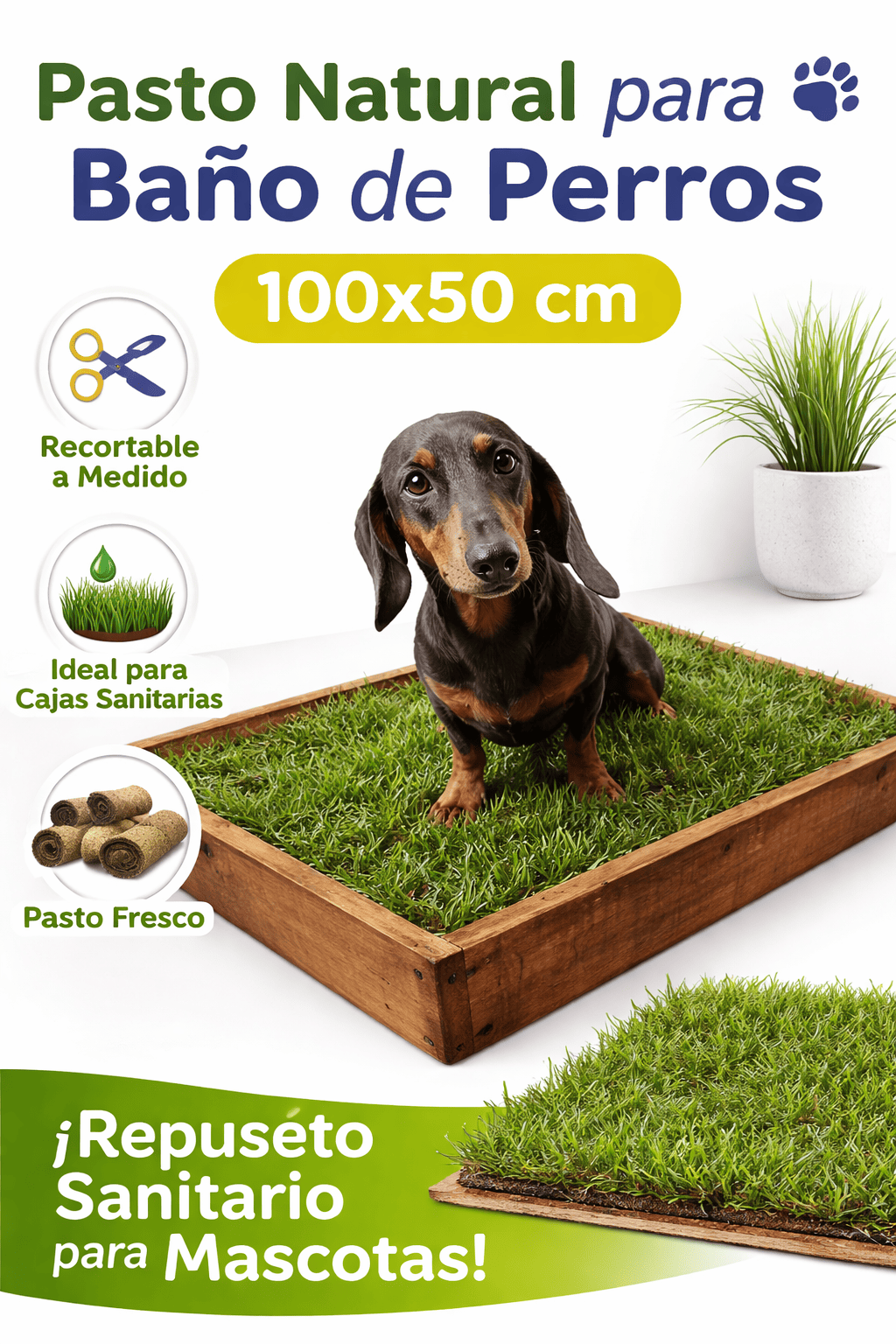 Repuesto baño sanitario mascotas