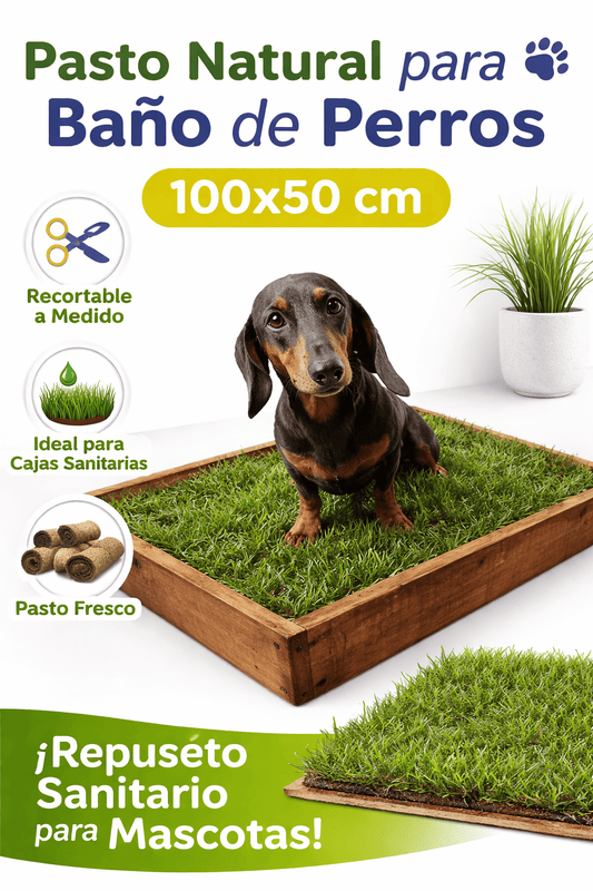 Repuesto baño sanitario mascotas